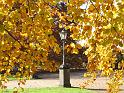 2009-11-05, leuchtender November (11)